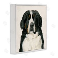 Grace Popp | Bernese Mountain Dog Portrait