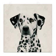 Grace Popp | Traditional Dalmatian Portrait