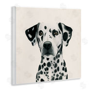 Grace Popp | Traditional Dalmatian Portrait