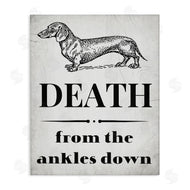 Stupell Studio | Funny Dachshund Dog Ankles