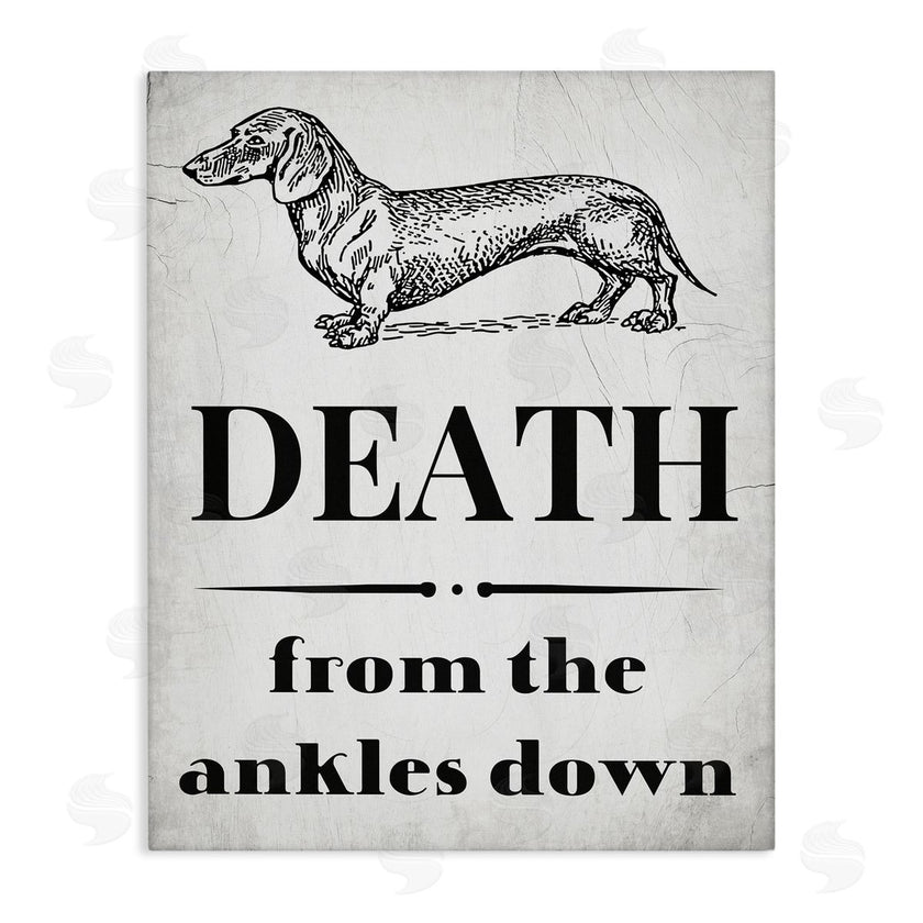 Stupell Studio | Funny Dachshund Dog Ankles