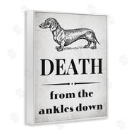 Stupell Studio | Funny Dachshund Dog Ankles