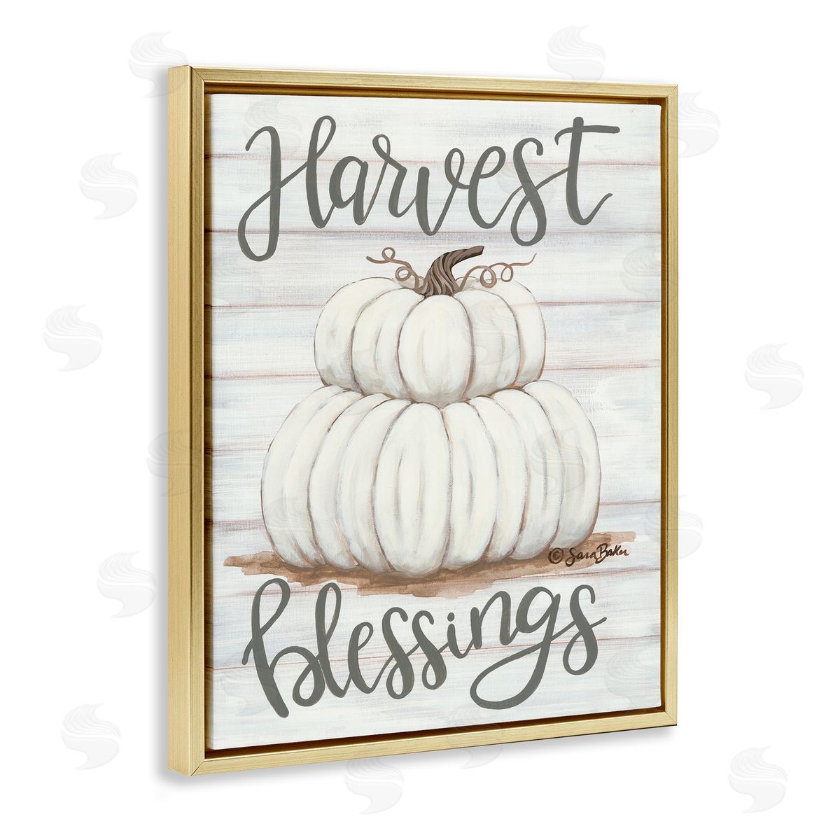 Harvest Belssings White Pumpkins Gold Floating Frame Canvas Wall Art, Home Decor by Sarah Baker
