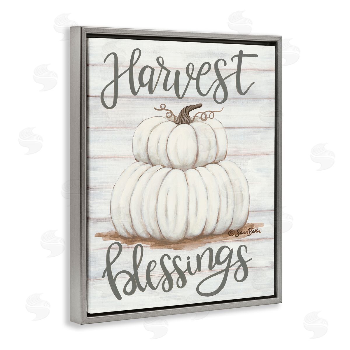 Harvest Belssings White Pumpkins Grey Floating Frame Canvas Wall Art, Home Decor by Sarah Baker