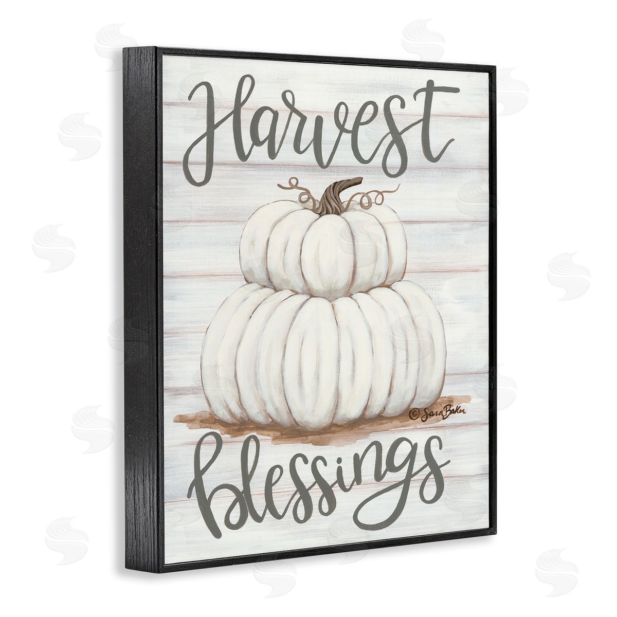 Harvest Belssings White Pumpkins Black Frame Print Wall Art, Home Decor by Sarah Baker