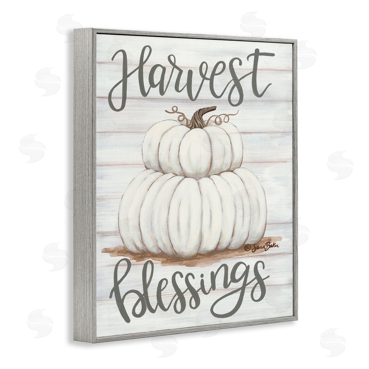 Harvest Belssings White Pumpkins Grey Frame Print Wall Art, Home Decor by Sarah Baker