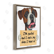Danny Gordan | Funny Spoiled Dog Phrase