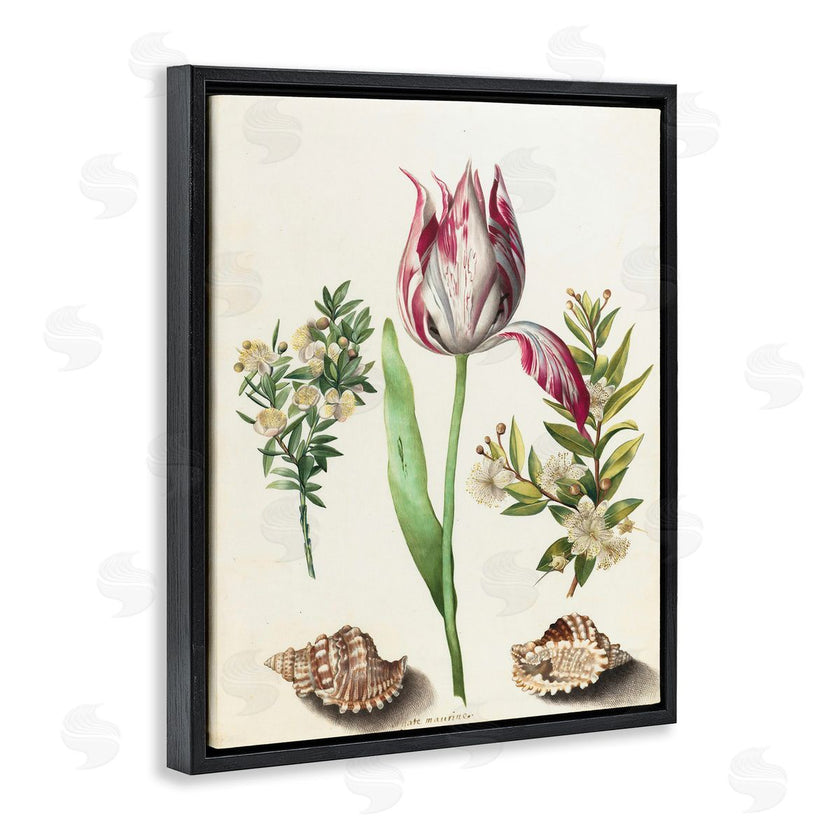 Ziwei Li | Pink Tulip with Sea Shells