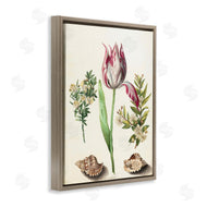 Ziwei Li | Pink Tulip with Sea Shells