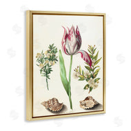 Ziwei Li | Pink Tulip with Sea Shells