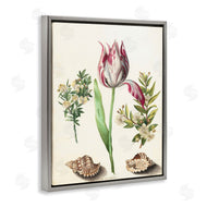 Ziwei Li | Pink Tulip with Sea Shells