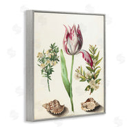Ziwei Li | Pink Tulip with Sea Shells