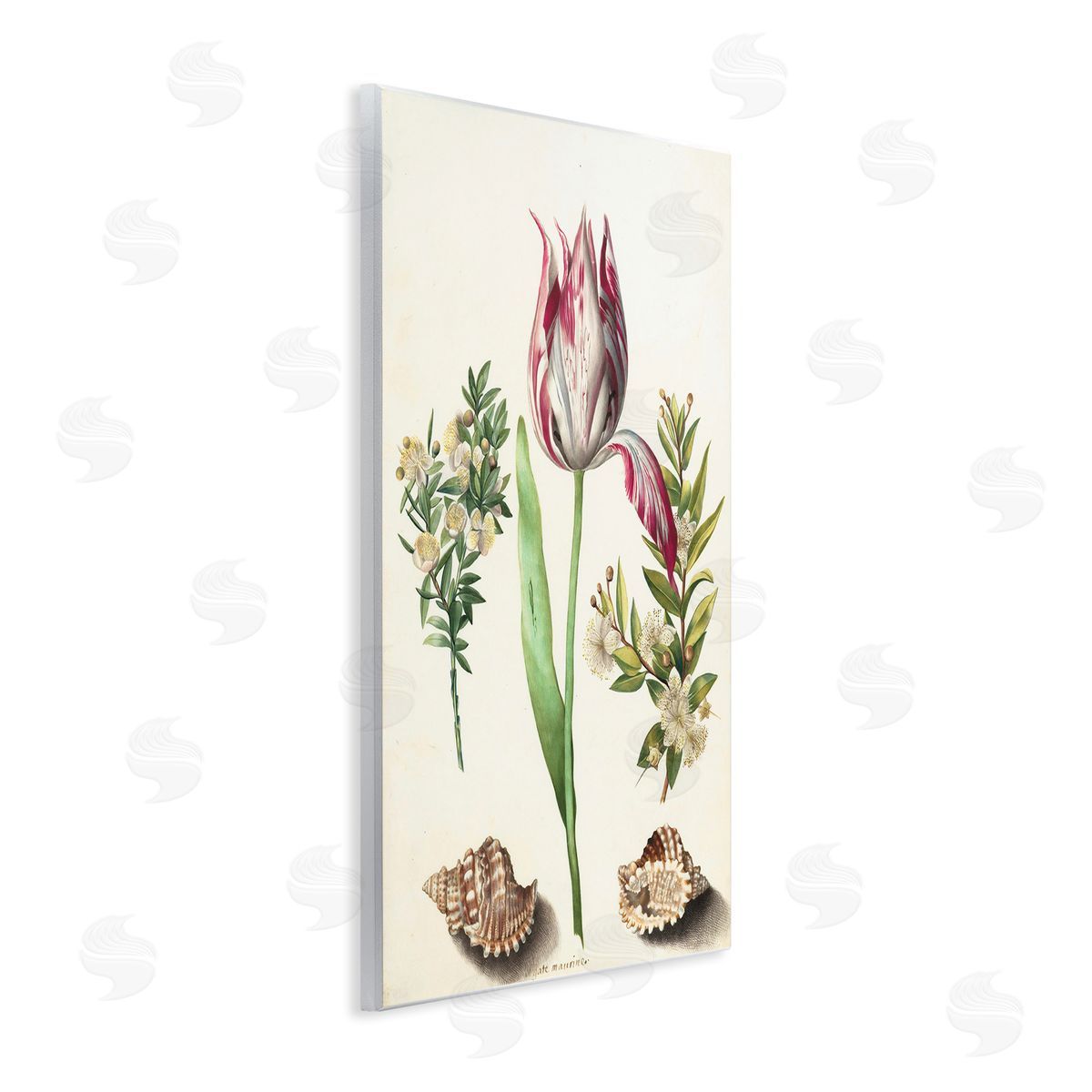 Pink Tulip with Sea Shells Wood Plaque Wall Art, Home Decor by Ziwei Li