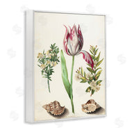 Ziwei Li | Pink Tulip with Sea Shells