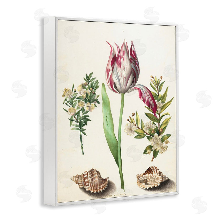 Ziwei Li | Pink Tulip with Sea Shells