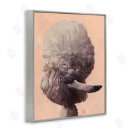 Thomas Fluharty | Poodle Afro Funny Dog