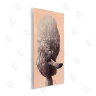 Thomas Fluharty | Poodle Afro Funny Dog