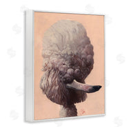 Thomas Fluharty | Poodle Afro Funny Dog