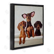 Lucia Heffernan | Dachshunds in Bathtub