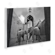 Ziwei Li | Animals In Arabesque Architecture