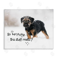 Ziwei Li | This Stuff Melts Snow Puppy