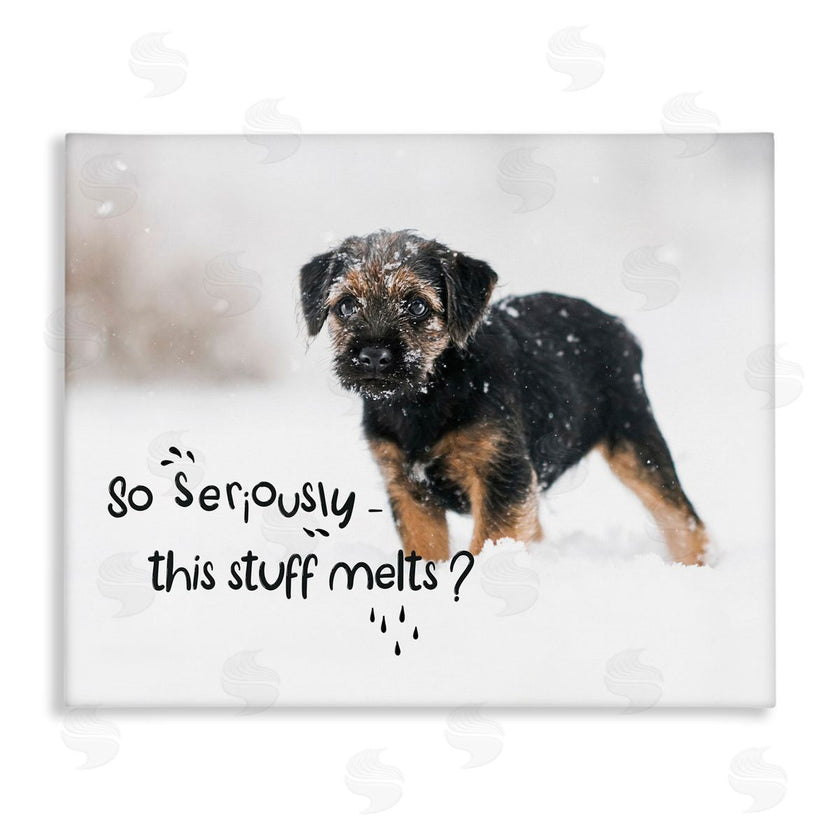 Ziwei Li | This Stuff Melts Snow Puppy