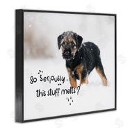 Ziwei Li | This Stuff Melts Snow Puppy