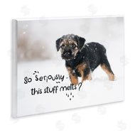 Ziwei Li | This Stuff Melts Snow Puppy