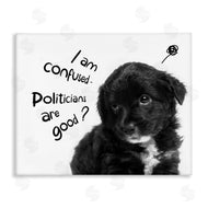 Ziwei Li | Politicians Are Good Puppy
