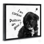 Ziwei Li | Politicians Are Good Puppy