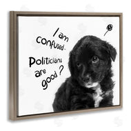 Ziwei Li | Politicians Are Good Puppy
