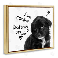 Ziwei Li | Politicians Are Good Puppy