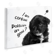 Ziwei Li | Politicians Are Good Puppy
