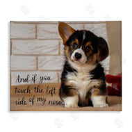 Ziwei Li | Touch Left Side Funny Dog