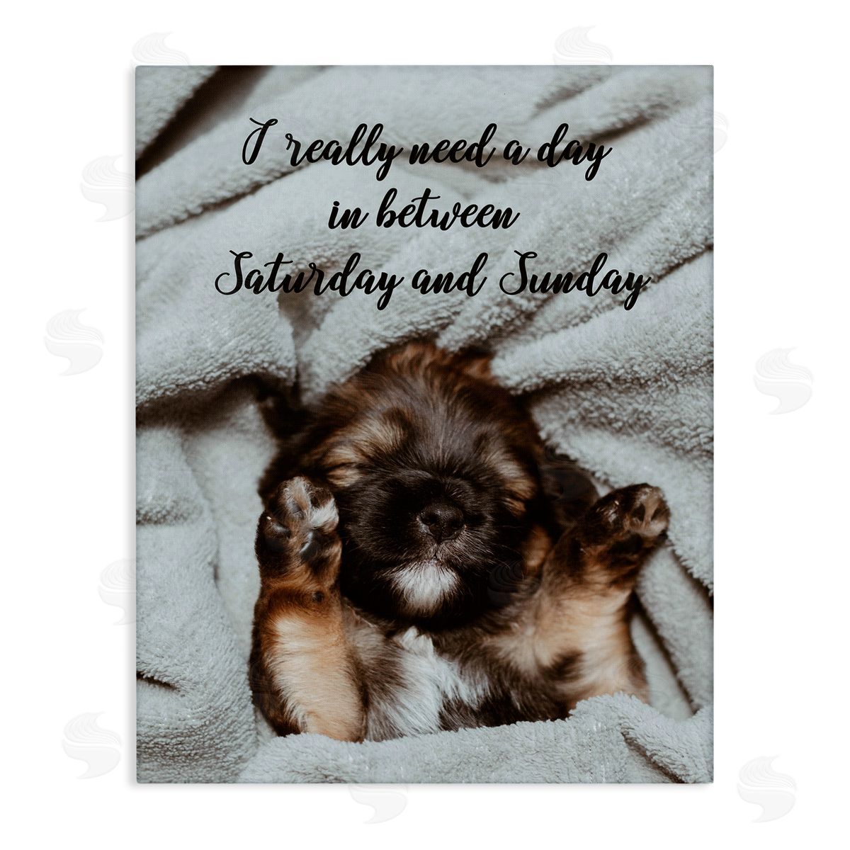 Three Day Weekend Funny Dog Canvas Wall Art, Home Decor by Ziwei Li