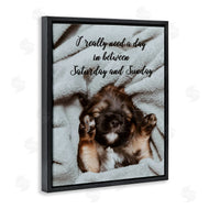 Ziwei Li | Three Day Weekend Funny Dog