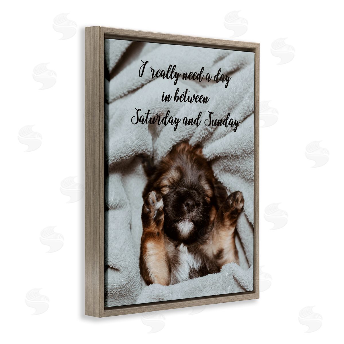 Three Day Weekend Funny Dog Brown Floating Frame Canvas Wall Art, Home Decor by Ziwei Li