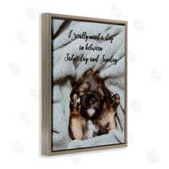 Ziwei Li | Three Day Weekend Funny Dog