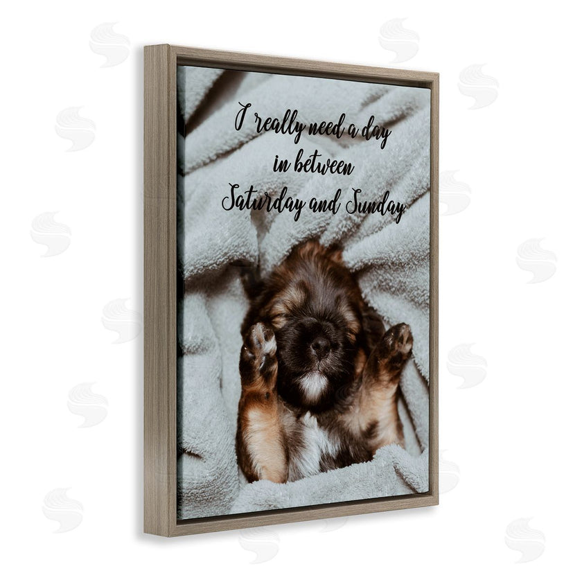 Ziwei Li | Three Day Weekend Funny Dog