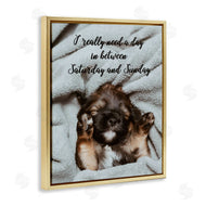 Ziwei Li | Three Day Weekend Funny Dog
