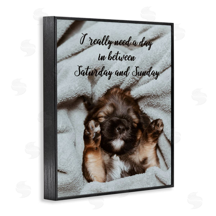 Ziwei Li | Three Day Weekend Funny Dog