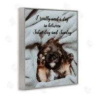 Ziwei Li | Three Day Weekend Funny Dog