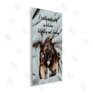 Ziwei Li | Three Day Weekend Funny Dog