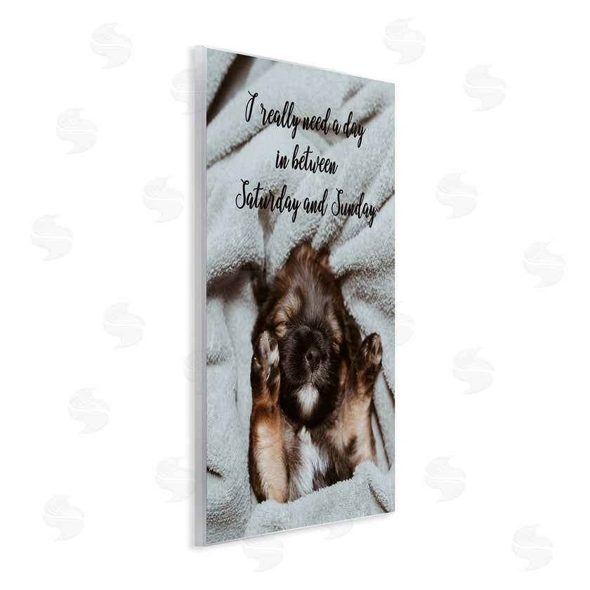 Ziwei Li | Three Day Weekend Funny Dog