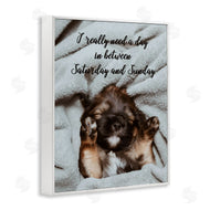Ziwei Li | Three Day Weekend Funny Dog