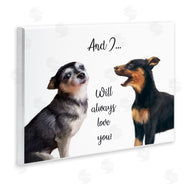 Ziwei Li | Will Love You Dogs