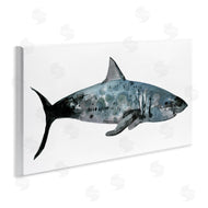 Stellar Studio | Watercolor Paint Shark