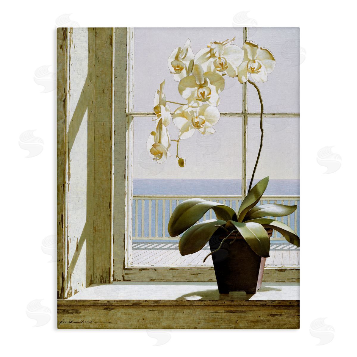 White Orchid on Window Sill Canvas Wall Art, Home Decor by Zhen-Huan Lu