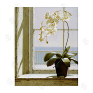 Zhen-Huan Lu | White Orchid on Window Sill