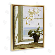 Zhen-Huan Lu | White Orchid on Window Sill